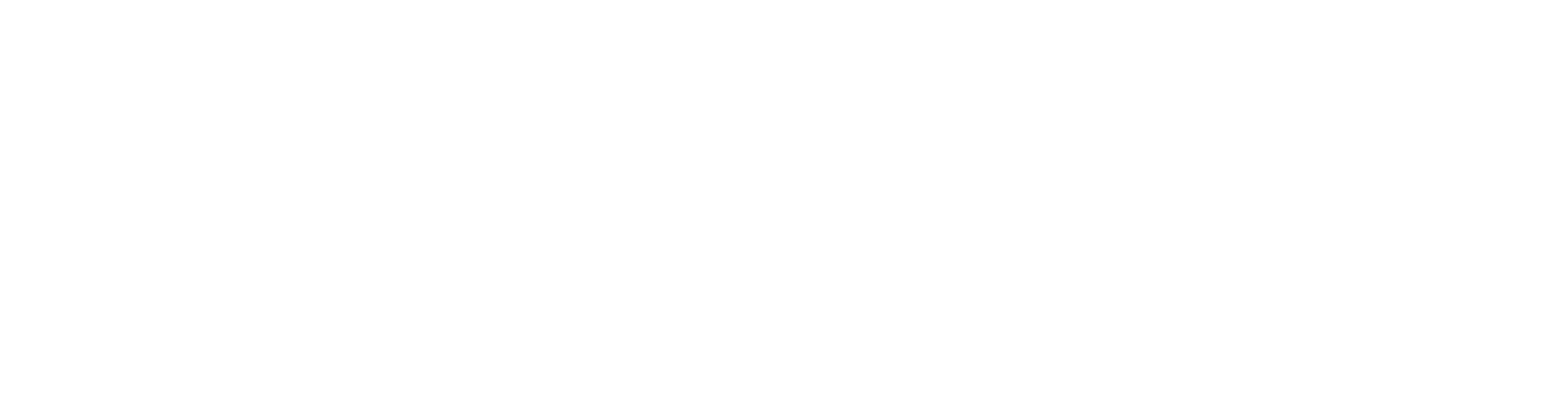 logo 2 1